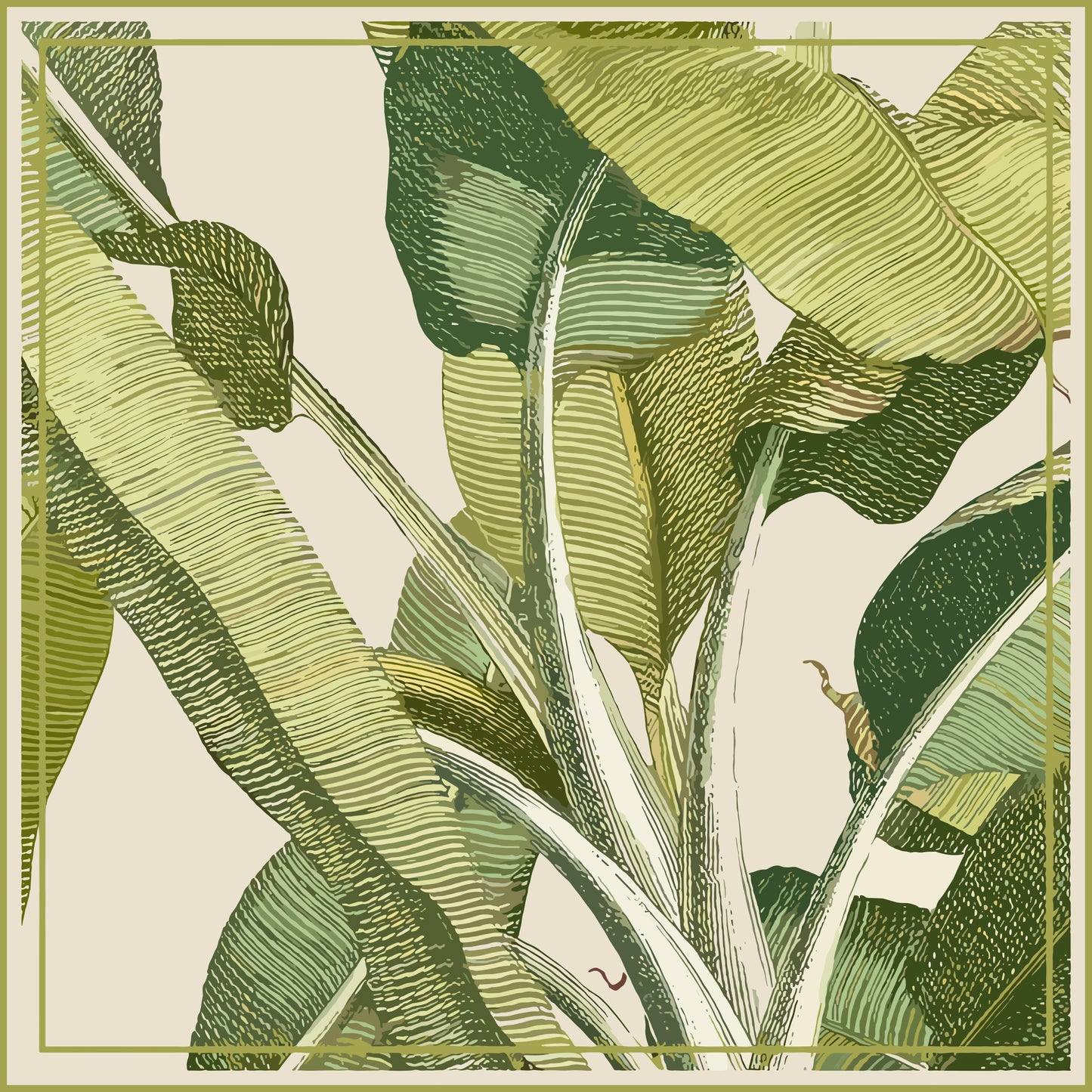 Strelitzia - Carré de soie