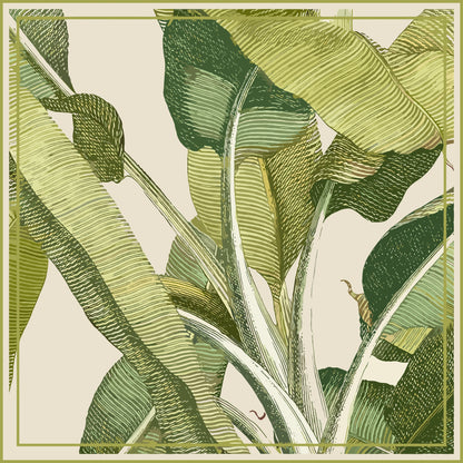 Strelitzia - Carré de soie